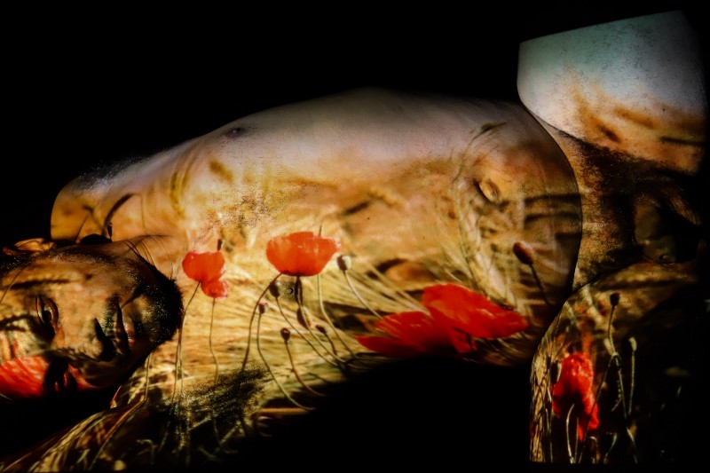 «Segunda Piel»: una serie de Derbis Campos sobre los osos&nbsp;cubanos