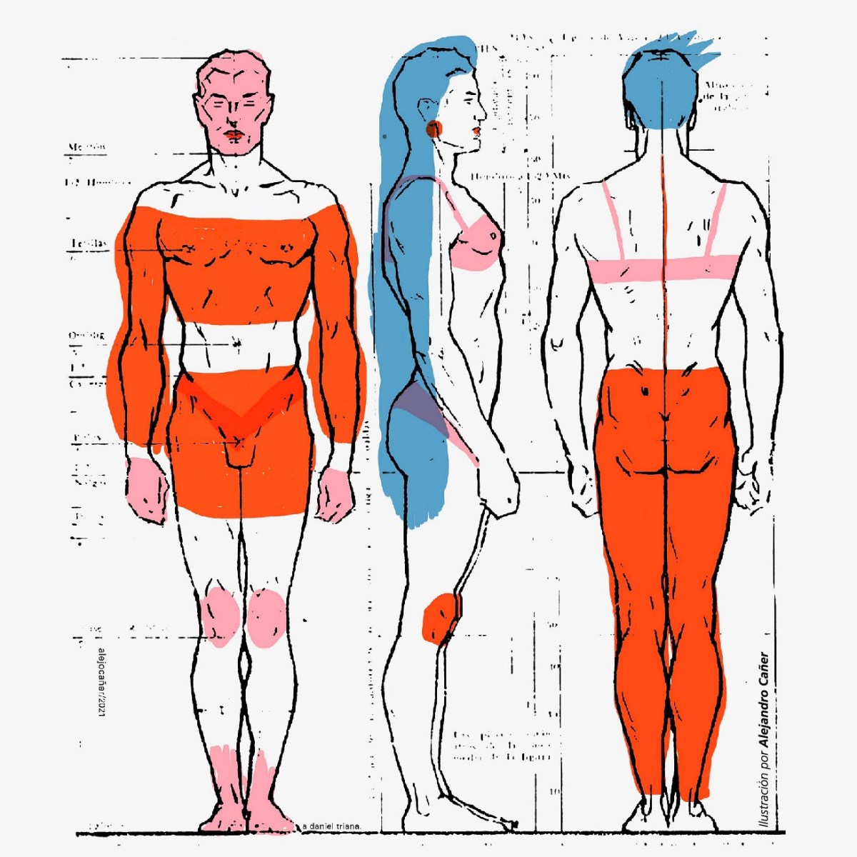 La descomposición del&nbsp;cuerpo